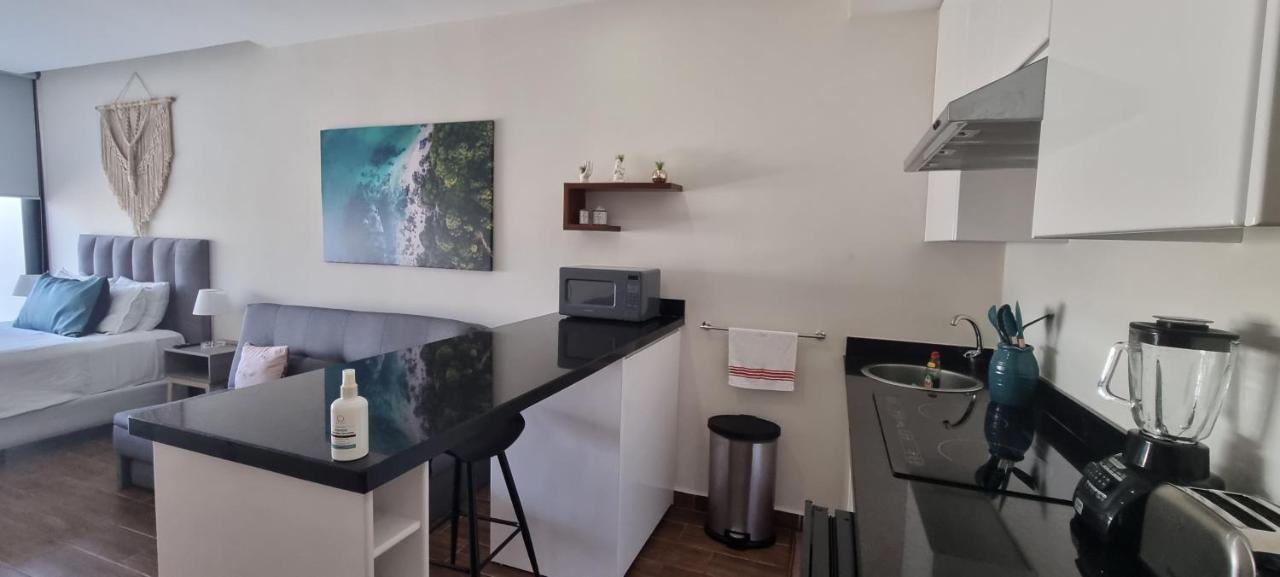 Cozy Studio With Wifi & Netflix Playa del Carmen Bagian luar foto
